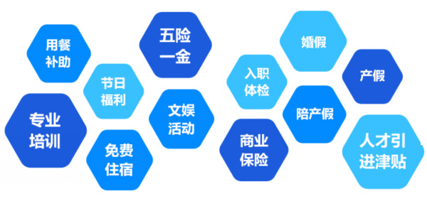 提供全面、系統、專業的培訓和廣闊的<br>職業發展空間和提升機會